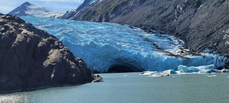 Anchorage: Portage Glacier and Wildlife Explorer Cruise - Who Is This Tour Best For?