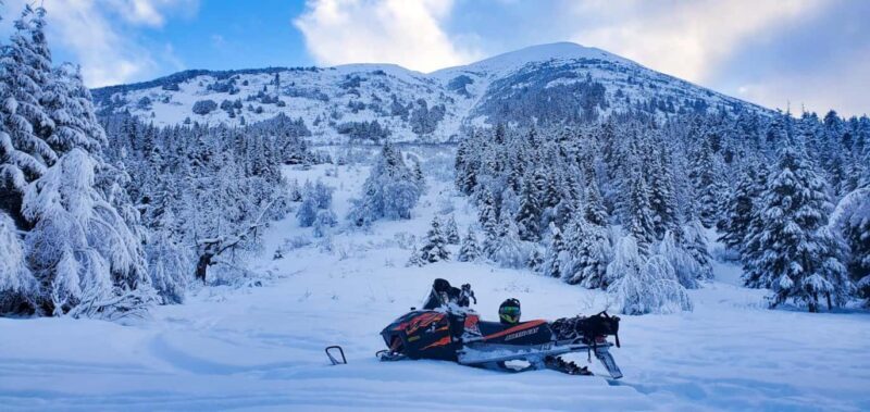 Anchorage: Snowmobile Adventure with Transportation - Final Thoughts