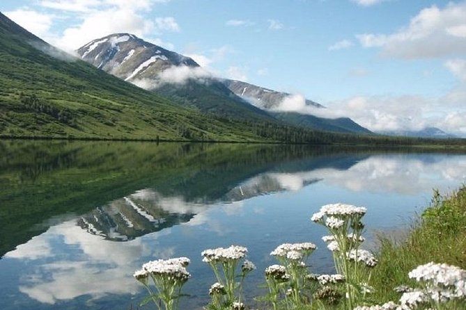 Anchorage to Whittier Cruise Transfer and Private Tour - Cancellation Policy