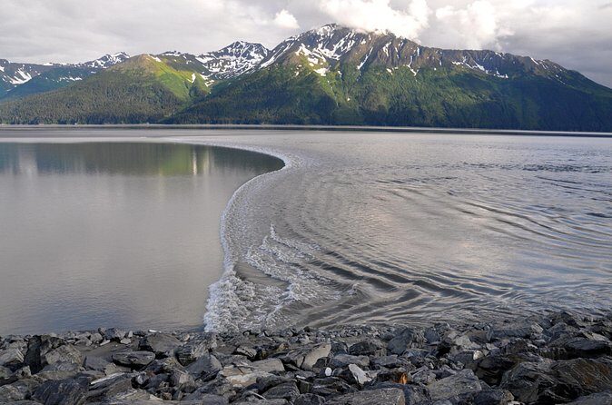 Anchorage to Whittier Direct Transfer Tour - The Sum Up