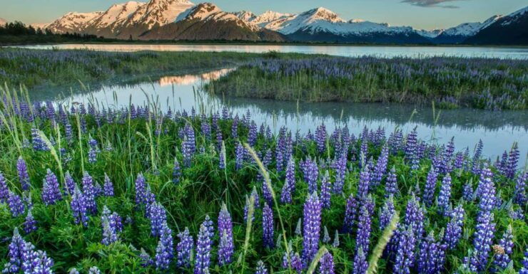 Anchorage: Turnagain Arm Highlights Photography Day Trip - Good To Know