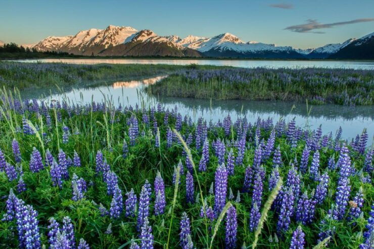 Anchorage: Turnagain Arm Highlights Photography Day Trip - Key Highlights of the Day Trip