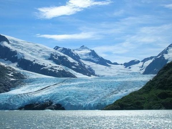 Anchorage Wilderness Wildlife Glacier Experience - Best Value - Inclusions and Services