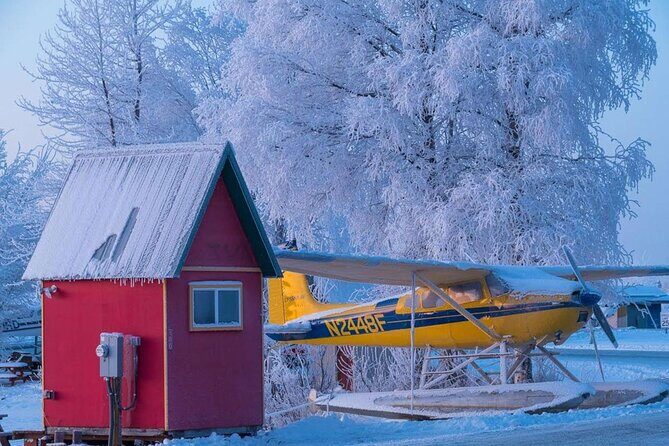 Anchorage Winter Wonderland Photo Tour - An In-Depth Look at the Anchorage Winter Wonderland Photo Tour