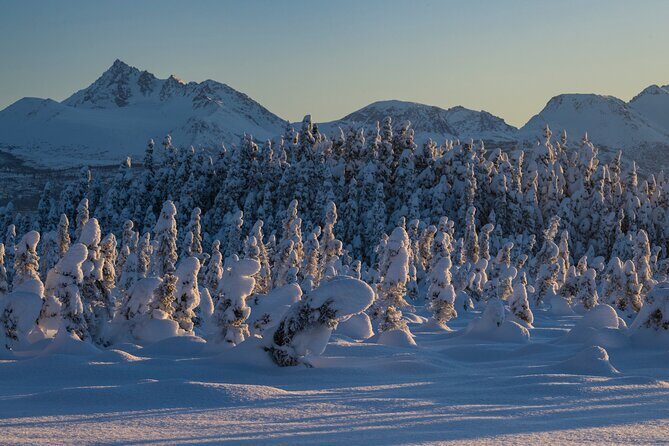 Anchorage Winter Wonderland Photo Tour - Who Should Book This Tour?