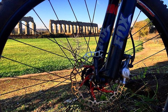 Ancient Appian Way and Roman Countryside E-Bike Tour - Cancellation Policy