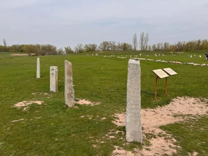 Ancient Burana Tower (Architectural wonder of Central Asia) - What the Tour Includes and Excludes