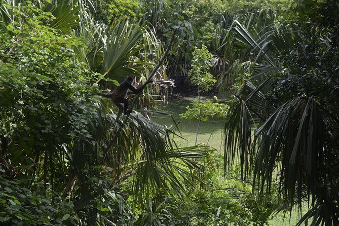 Ancient Chacchoben Mayan Ruins Tour from Costa Maya - FAQs