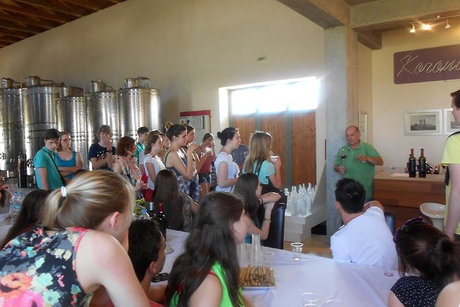 Ancient Corinth, Ancient Nemea, Wineries, Full Day Guided Private Tour - The Sum Up