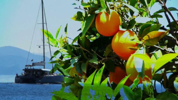 Ancient Corinth and Beautiful Nafplio Day Family Tour - Activity and Booking Details