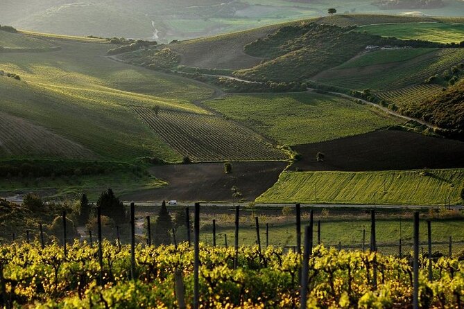 Ancient Corinth & Nemea Wine Tasting (up to 15 in a Luxurious Mercedes Minibus) - Professional Tour Guide: Expert Knowledge and Commentary