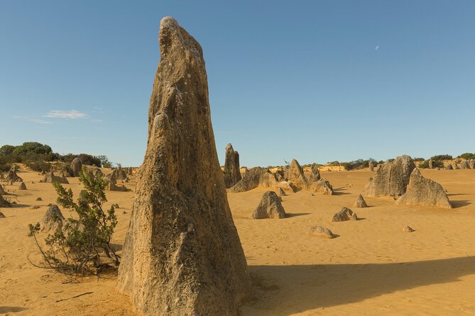 Ancient Echoes: Exploring Callanish's Stone Circles - Preservation Efforts and Restoration