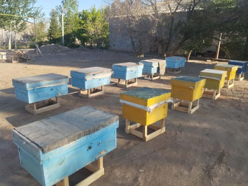 Ancient Fortresses of Khorezm Day Trip with Lunch in village - An In-Depth Look at the Tour Experience