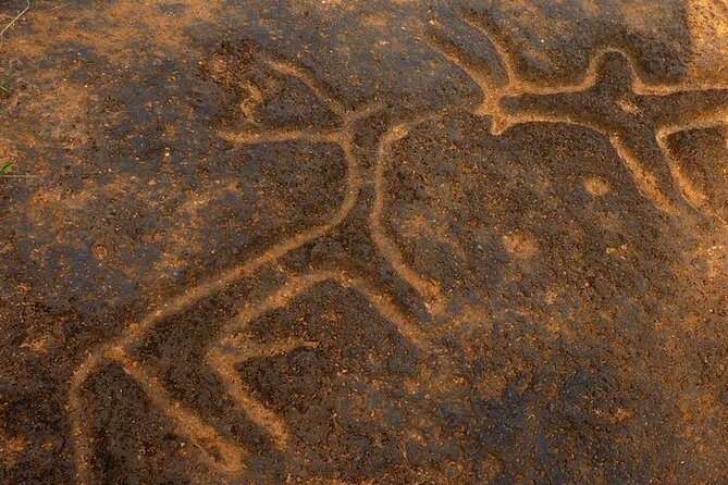 Ancient Goa Tour With Archaeologist or Local Guide - Pickup and Meeting Details