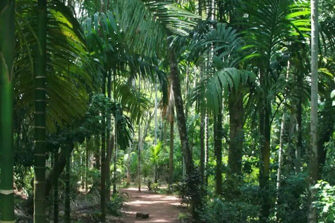 Ancient Goa Tour With Archaeologist or Local Guide - Cancellation Policy