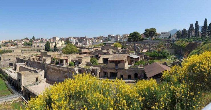 Ancient Herculaneum: 2,5-Hour Guided Tour - Tour Details