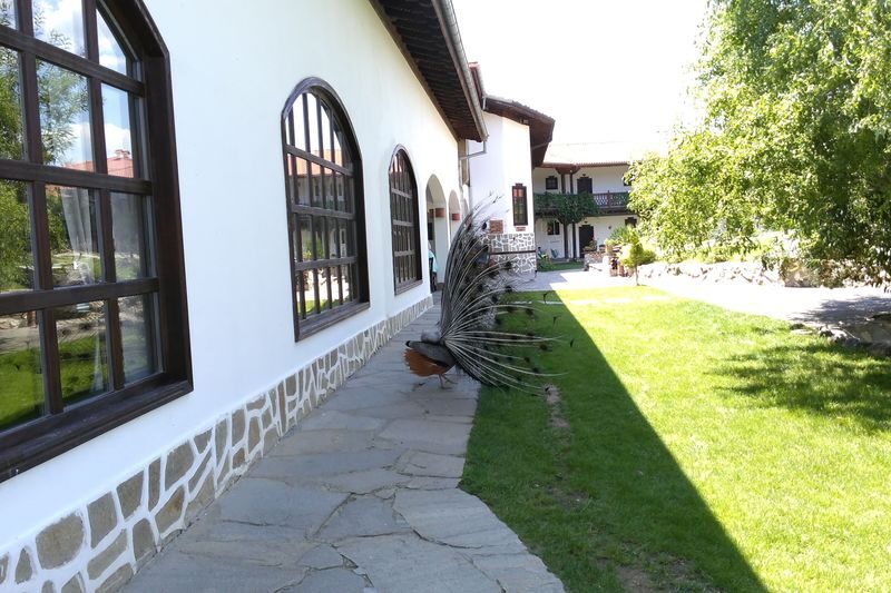 Ancient History, Spa and Wine Private Day Tour from Sofia - A Starosel spa is the day’s change of gear