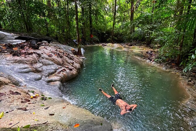 Ancient Lava Stream Trek Through Dense Tropical Forest. - Trail Highlights and Points of Interest