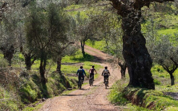 Ancient Messene: E-Bike Tour With Monastery Visit and Picnic - Good To Know
