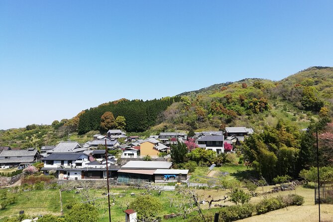 Ancient Nara Walking and Cycling Tour in Asuka - Cycling Routes