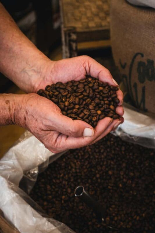 Ancient Penglipuran Village and Bamboo Forest Trekking - Discovering Bali’s Authentic Side: The Tour Overview  