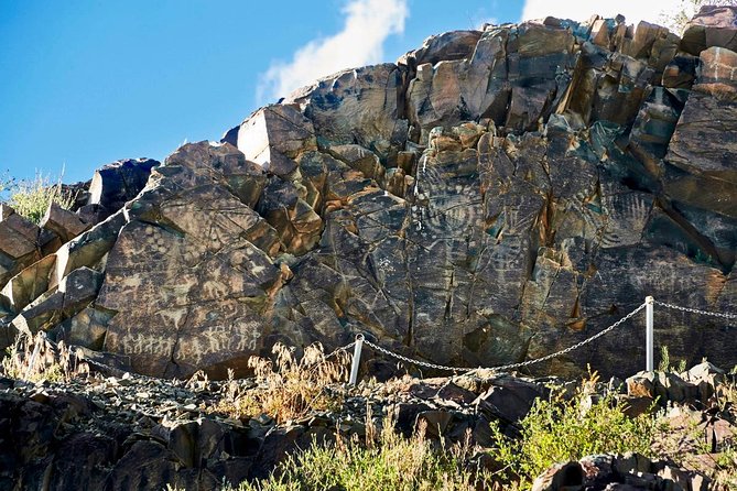 Ancient Petroglyphs of Tanbaly - UNESCO World Heritage - Reviews