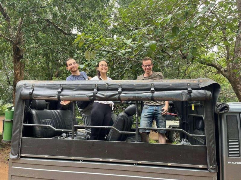 Ancient Polonnaruwa Stories & Minneriya Safari from Sigiriya - Good To Know