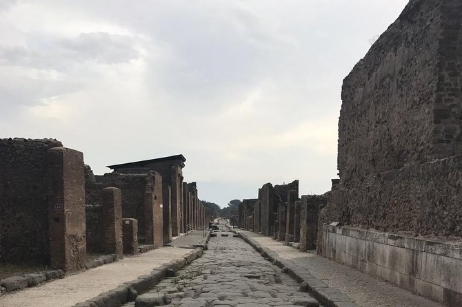 Ancient Pompeii in the Afternoon - Pricing and Booking Details