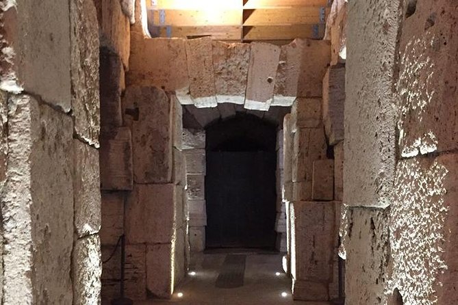 Ancient Rome and Colosseum Private Tour With Underground Chambers and Arena - Feedback and Recommendations