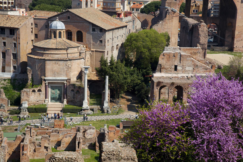 Ancient Rome Colosseum Walking Tour - Who this tour suits best
