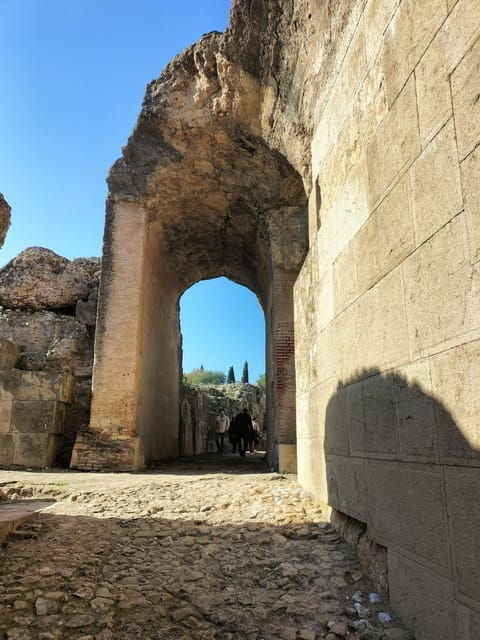 Ancient Rome in Seville: Exclusive Italica Guided Tour - Good To Know