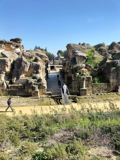 Ancient Rome in Seville: Exclusive Italica Guided Tour - Uncovering the Meticulous Mosaics
