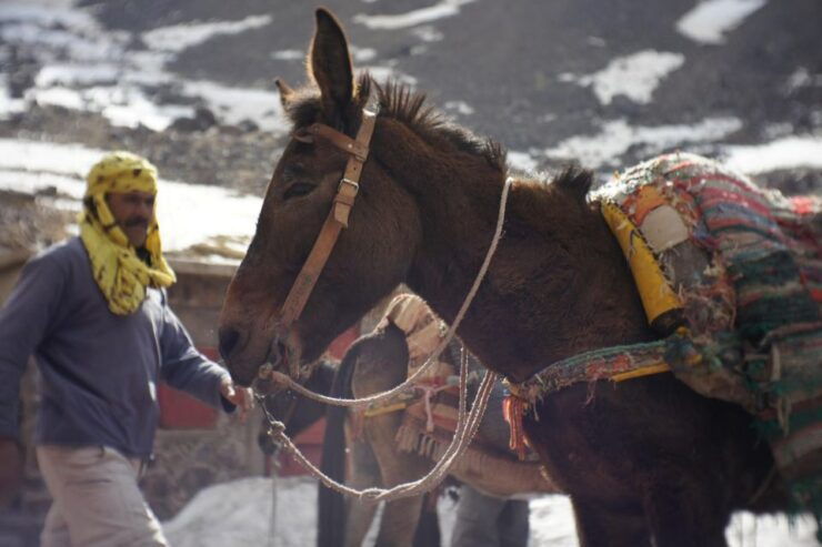 Ancient TOUBKAL 2 Days and One Night - Booking Information
