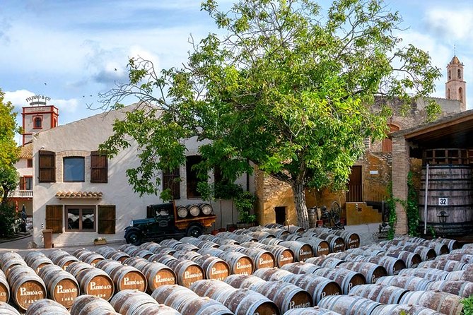Ancient Winery of Vermouth, Tarragona & Reus: Private Round-Trip Transfer - Additional Information