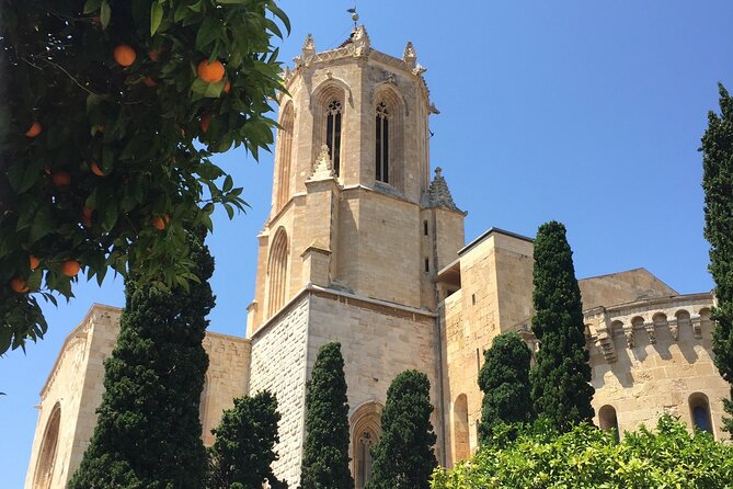 Ancient Winery of Vermouth, Tarragona & Reus: Private Round-Trip Transfer - Cancellation Policy