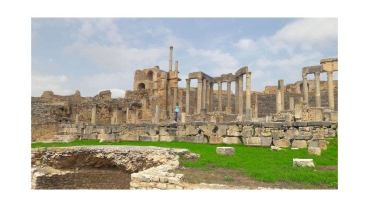 Ancient Wonders: Dougga & Bulla Regia Guided Tour - Pickup and Logistics Details