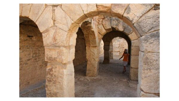 Ancient Wonders: Dougga & Bulla Regia Guided Tour - The Sum Up