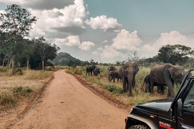 Ancient Wonders From Colombo (2 Days) - Pricing Options and Reviews