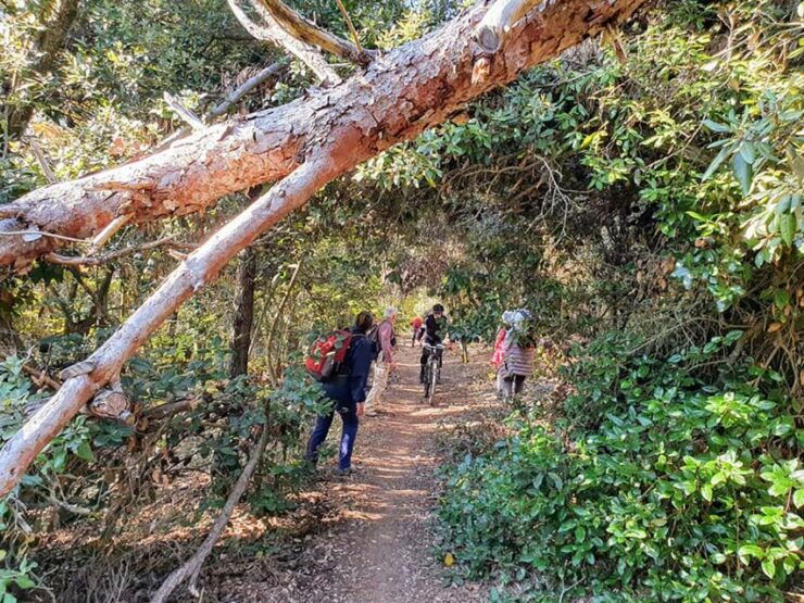 Ancona Riviera Del Conero: Hiking Tour - Activity Description
