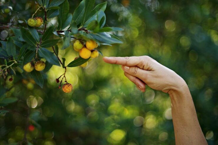 Ancona Riviera Del Conero: Hiking Tour - Experience Highlights