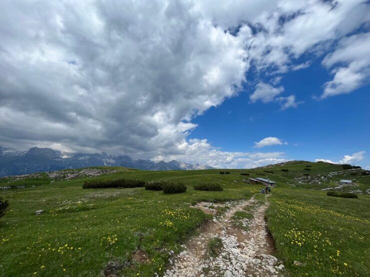 Andalo: Trekking Tour to Canfedin Peak - Good To Know