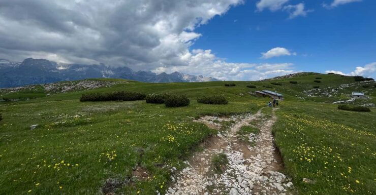 Andalo: Trekking Tour to Canfedin Peak - Booking Information