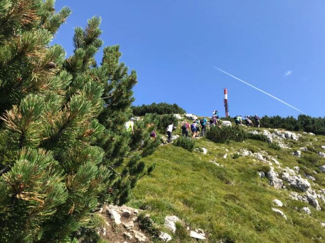 Andalo: Trekking Tour to Canfedin Peak - Preparation and Restrictions