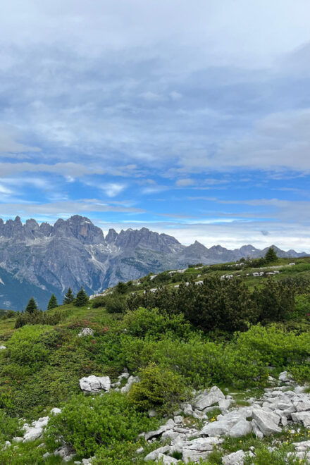 Andalo: Trekking Tour to Paganellas Caves & Eagles Throne - Meeting Point and Preparation