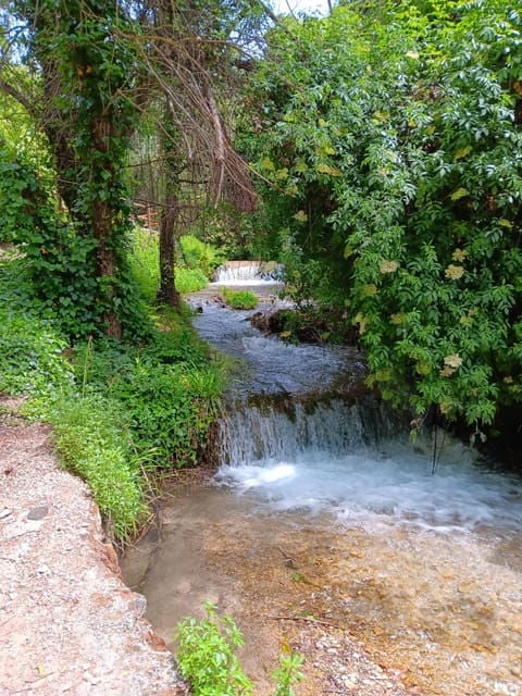 Andalucia : Discover the Most Beautiful Waterfall - Itinerary Highlights