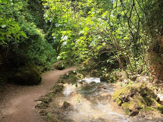 Andalucia : Discover the Most Beautiful Waterfall - Guided Tour in Multiple Languages