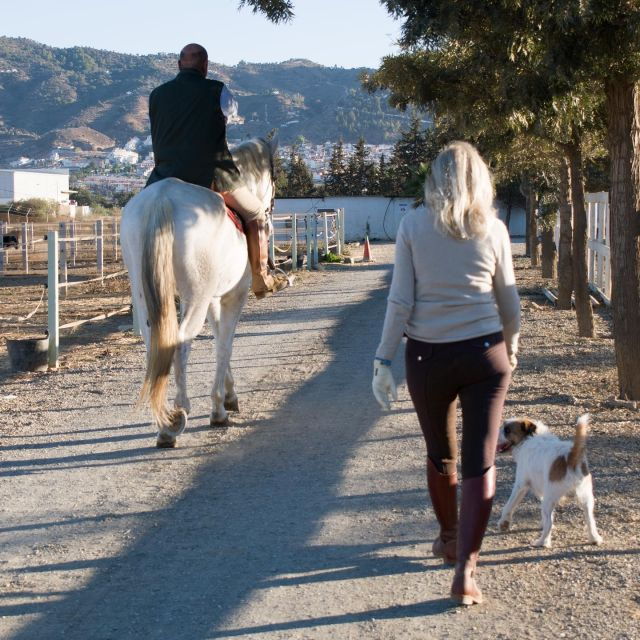 Andalucia: Horse Riding Tour With Picnic - Booking Details