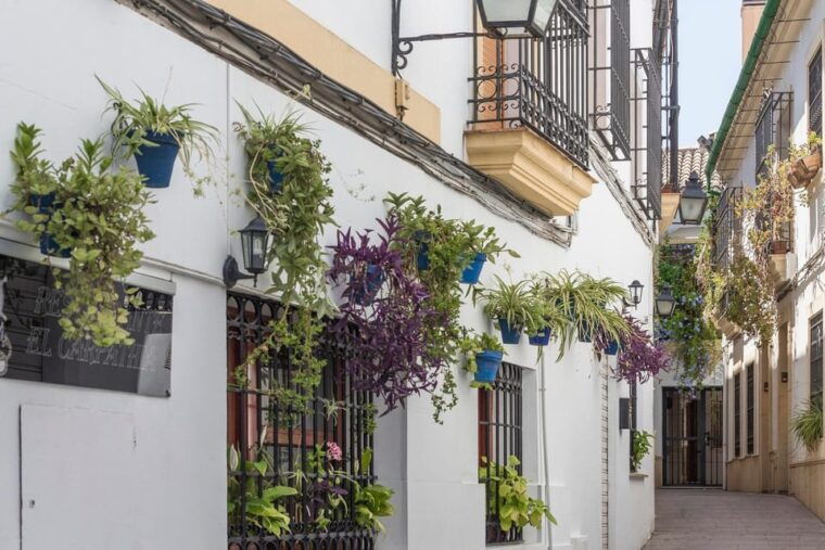 Andalusia Express From Madrid 4 Day Tour - Inclusions