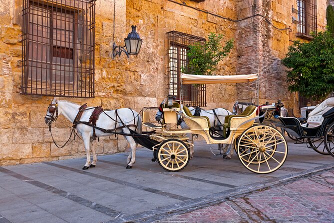 Andalusian Highlights: 6-Day Guided Tour From Madrid - Accommodation