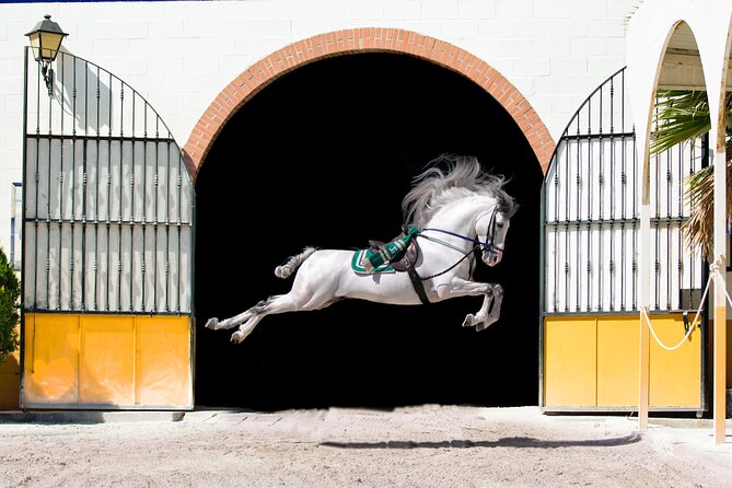 Andalusian Horse and Flamenco Show in Malaga at 5:45 Pm - Additional Information